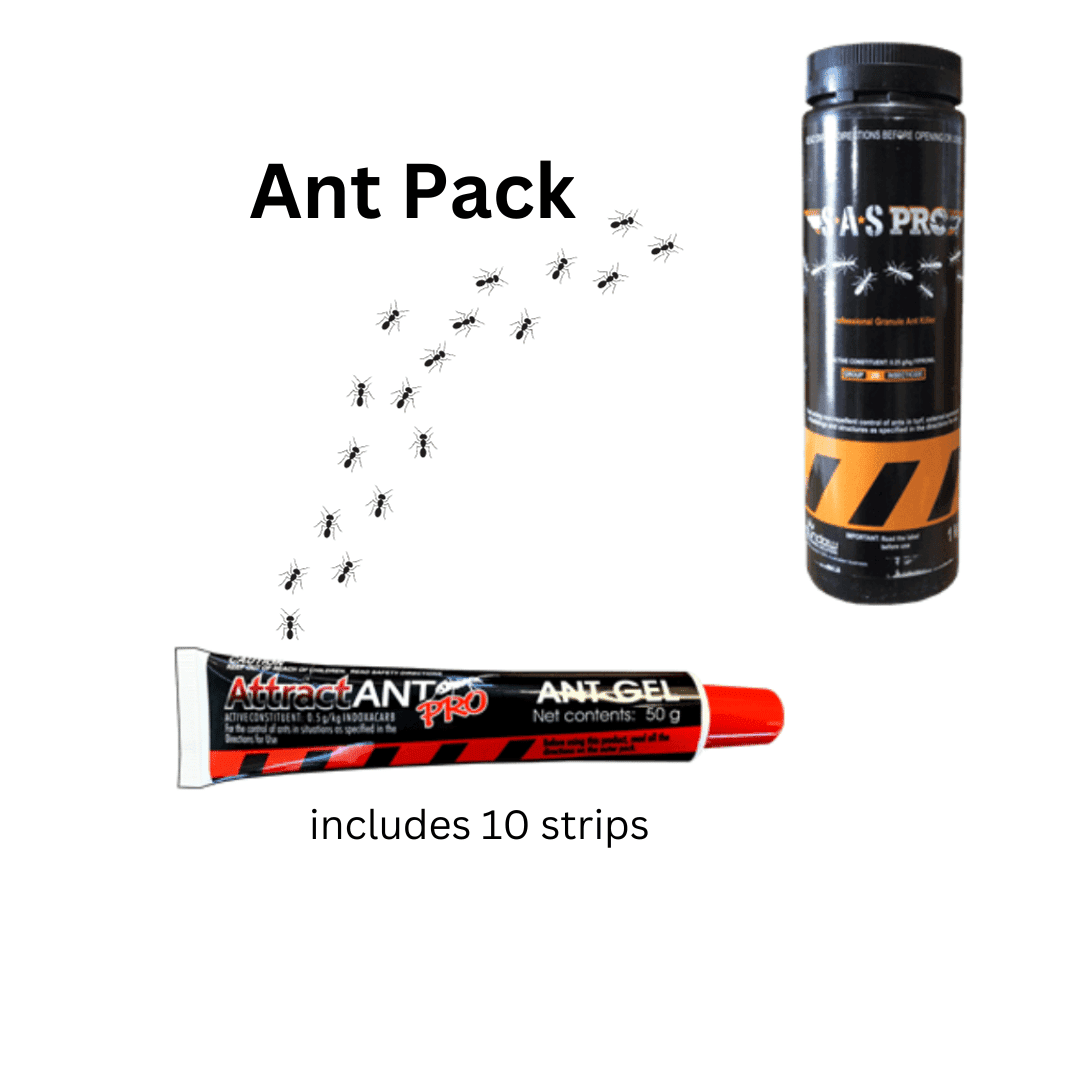 Ant Package 